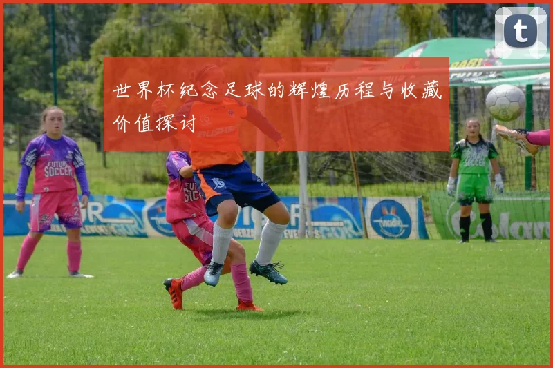 世界杯纪念足球的辉煌历程与收藏价值探讨