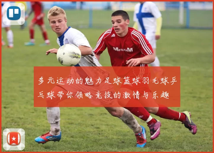 多元运动的魅力足球篮球羽毛球乒乓球带你领略竞技的激情与乐趣
