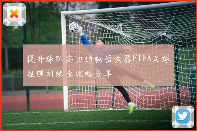 提升球队实力的秘密武器FIFA足球经理训练全攻略分享
